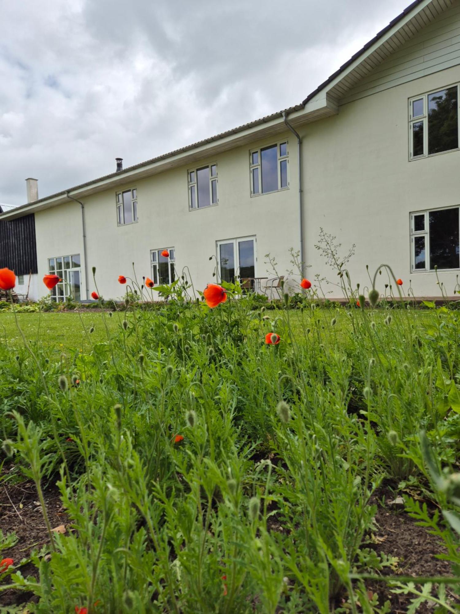 Mols Bed & Breakfast Knebel エクステリア 写真