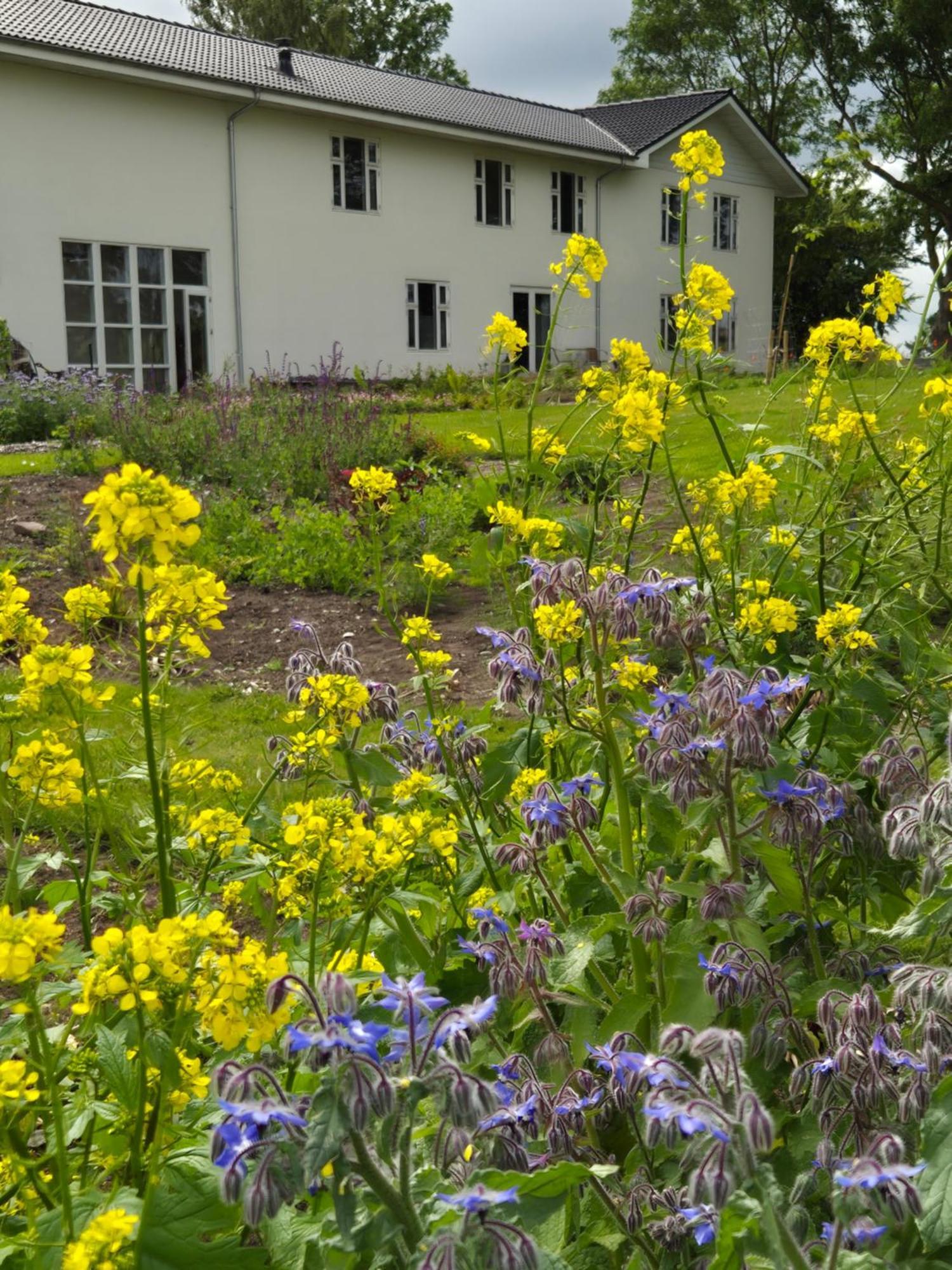Mols Bed & Breakfast Knebel エクステリア 写真