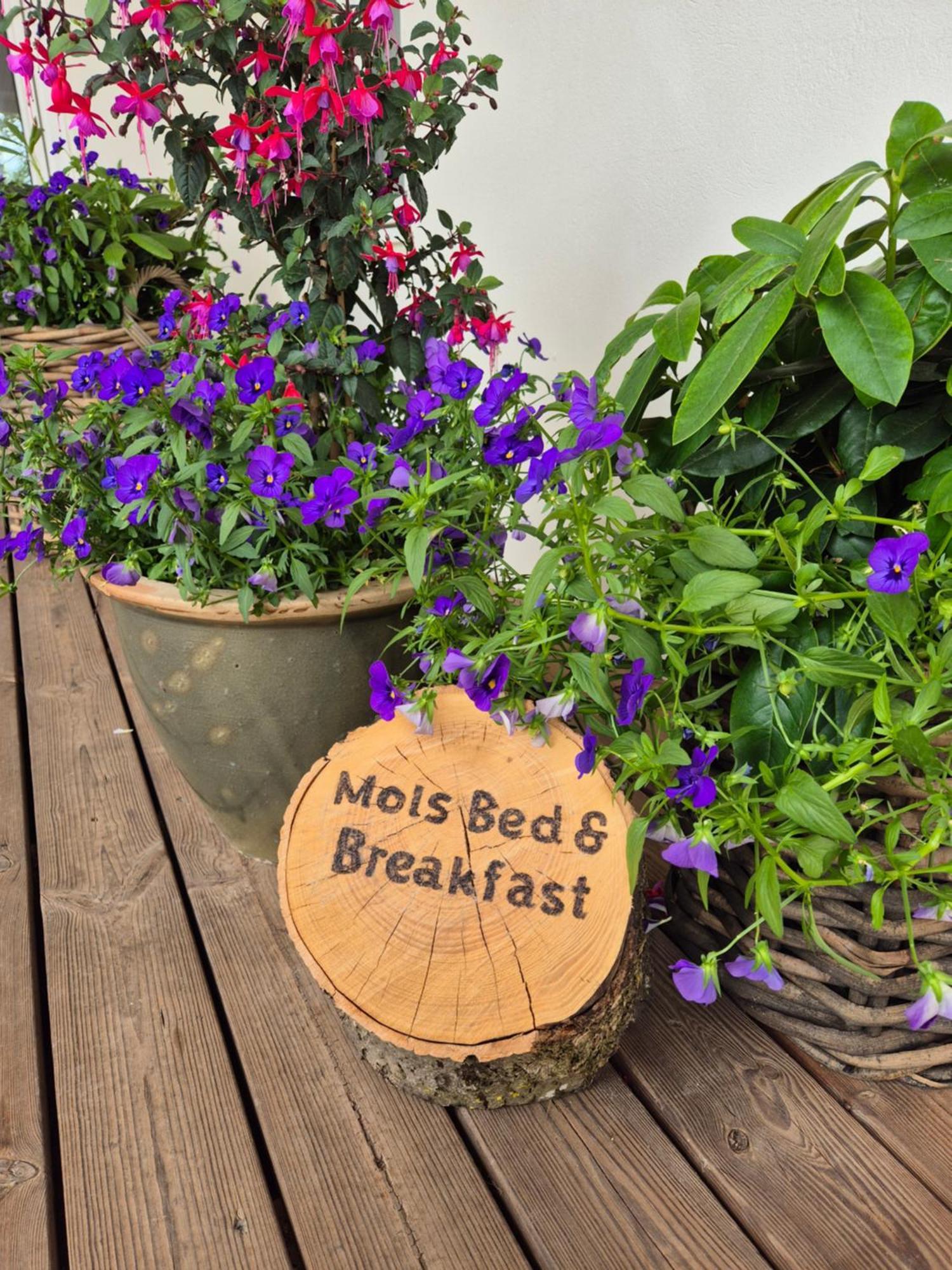Mols Bed & Breakfast Knebel エクステリア 写真